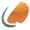 1CRM Logo