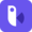 Birdview Logo