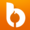 Bonfyre Logo