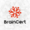 BrainCert Logo