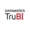 Datamatics TruBI Logo