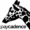 Paycadence Logo
