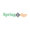 Spring Edge Logo
