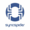 SyncSpider Logo