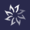 Vantage Circle Logo